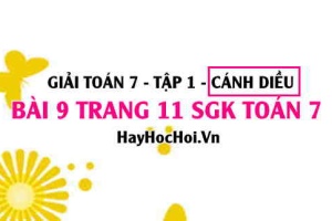 Giải bài 9 trang 11 Toán 7 Tập 1 SGK Cánh Diều